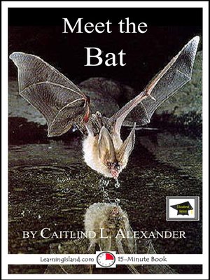 cover image of Meet the Bat